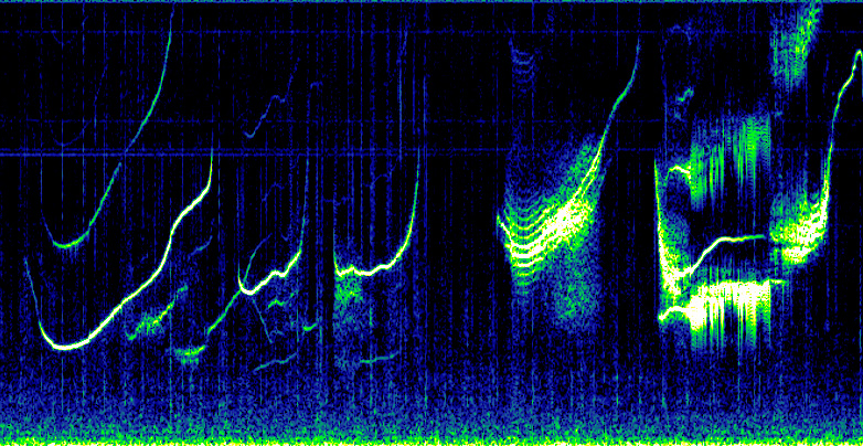 Bioacoustics