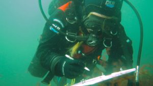 Byrnes is helping to develop research protocols and disseminate them through an international network of scientists called KEEN (Kelp Ecosystem Ecology Network).