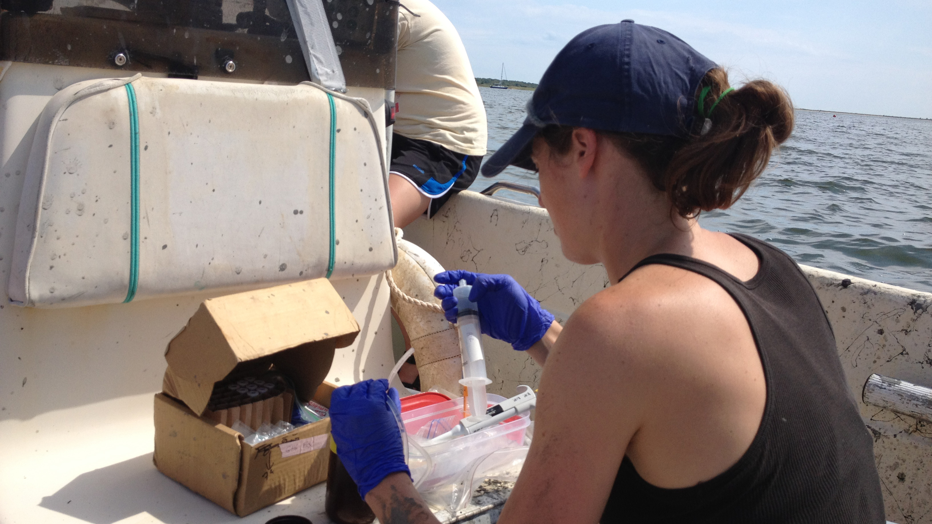 Sarah Foster preparing Waquoit Bay water samples to analyze for concentrations of methane and nitrous oxide. Photo credit: Silvia Newell