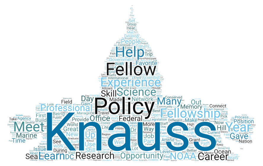 KnaussWordCloud_AlumniQuotes_Capitol_TransparentBackground