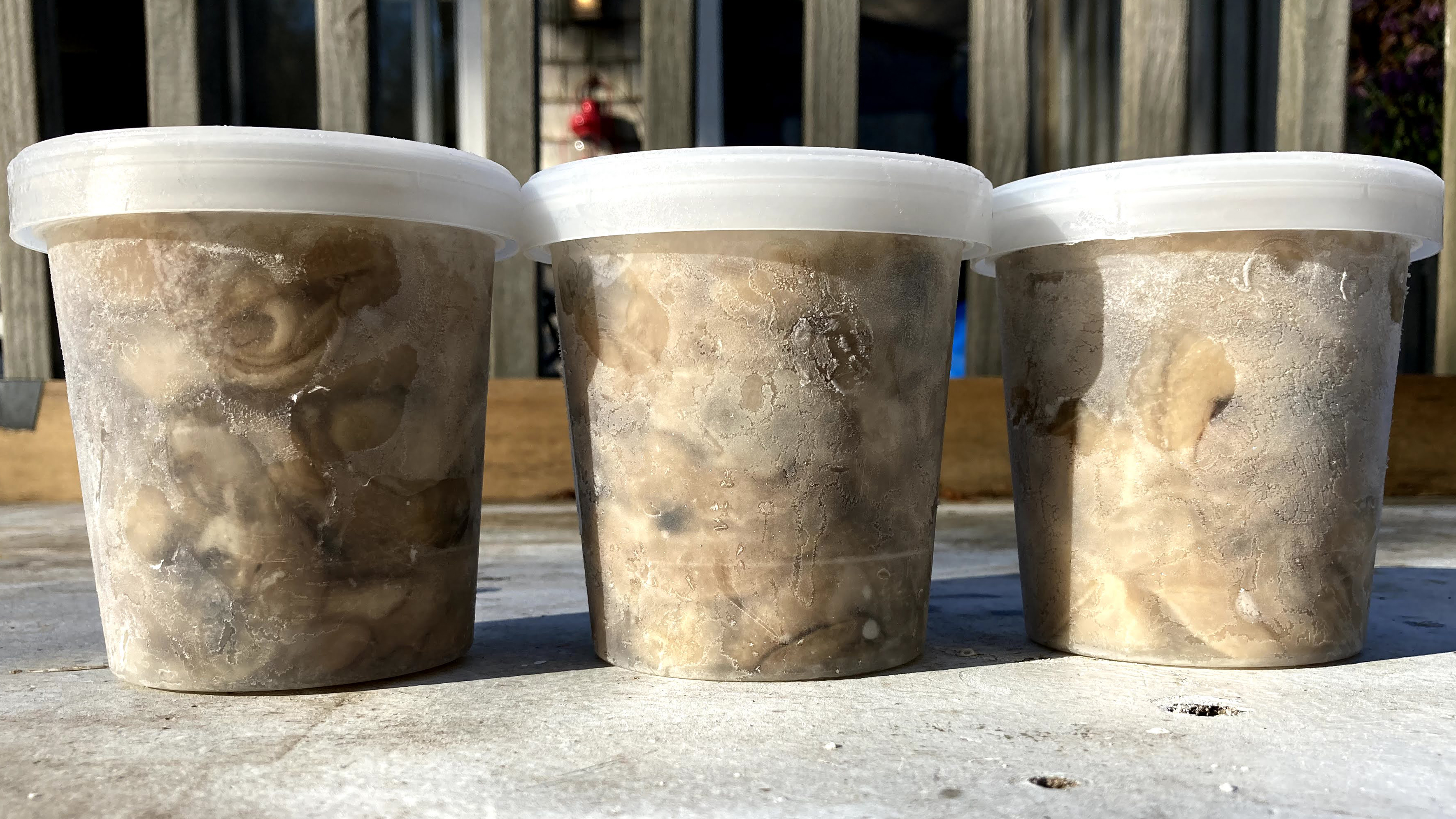 three 3 frozen oyster pints