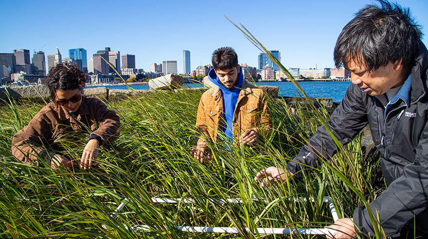 Bob Chen and students at Boston Harbor