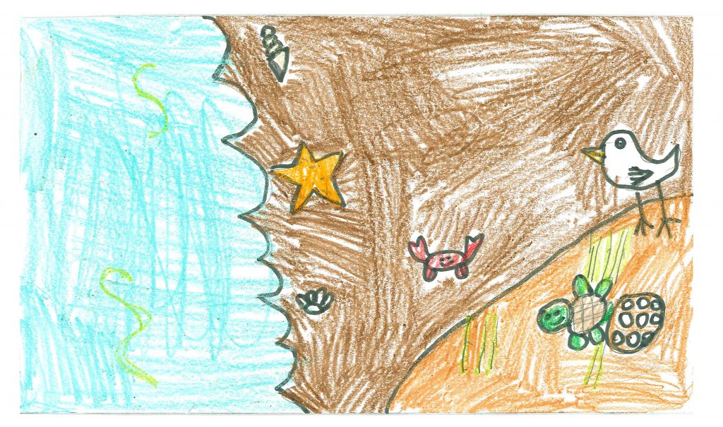 Olivia P_2nd grade_Bournedale_Honorable