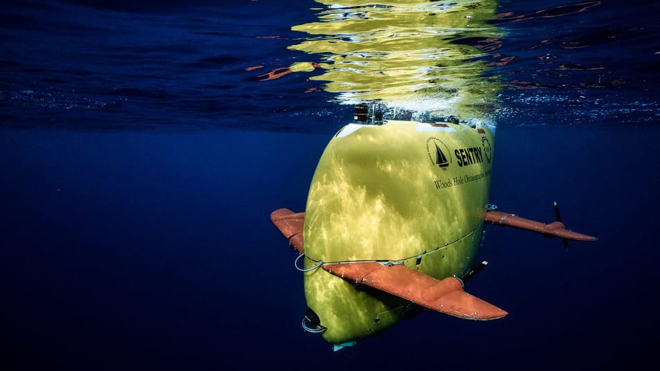 Underwater cameras tackle tough questions for fishery – Woods Hole  Oceanographic Institution