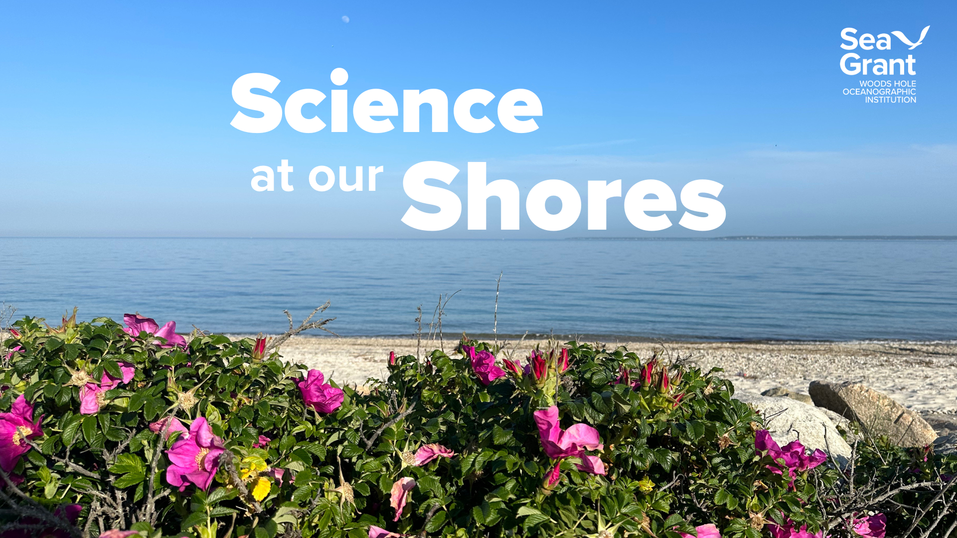Science at our Shores - featured image