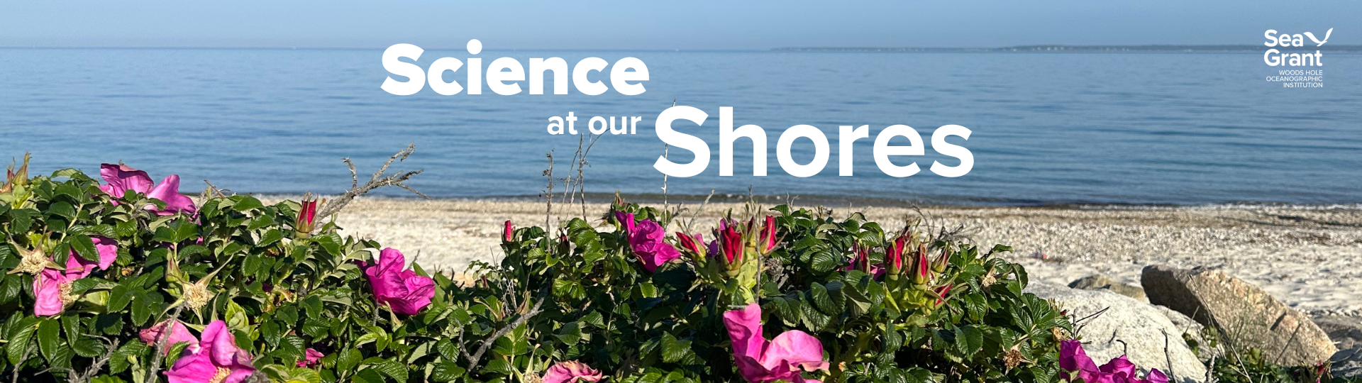 science at our shores - website banner