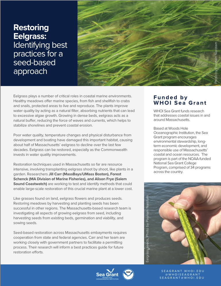 Carr-1-pager-thumbnail