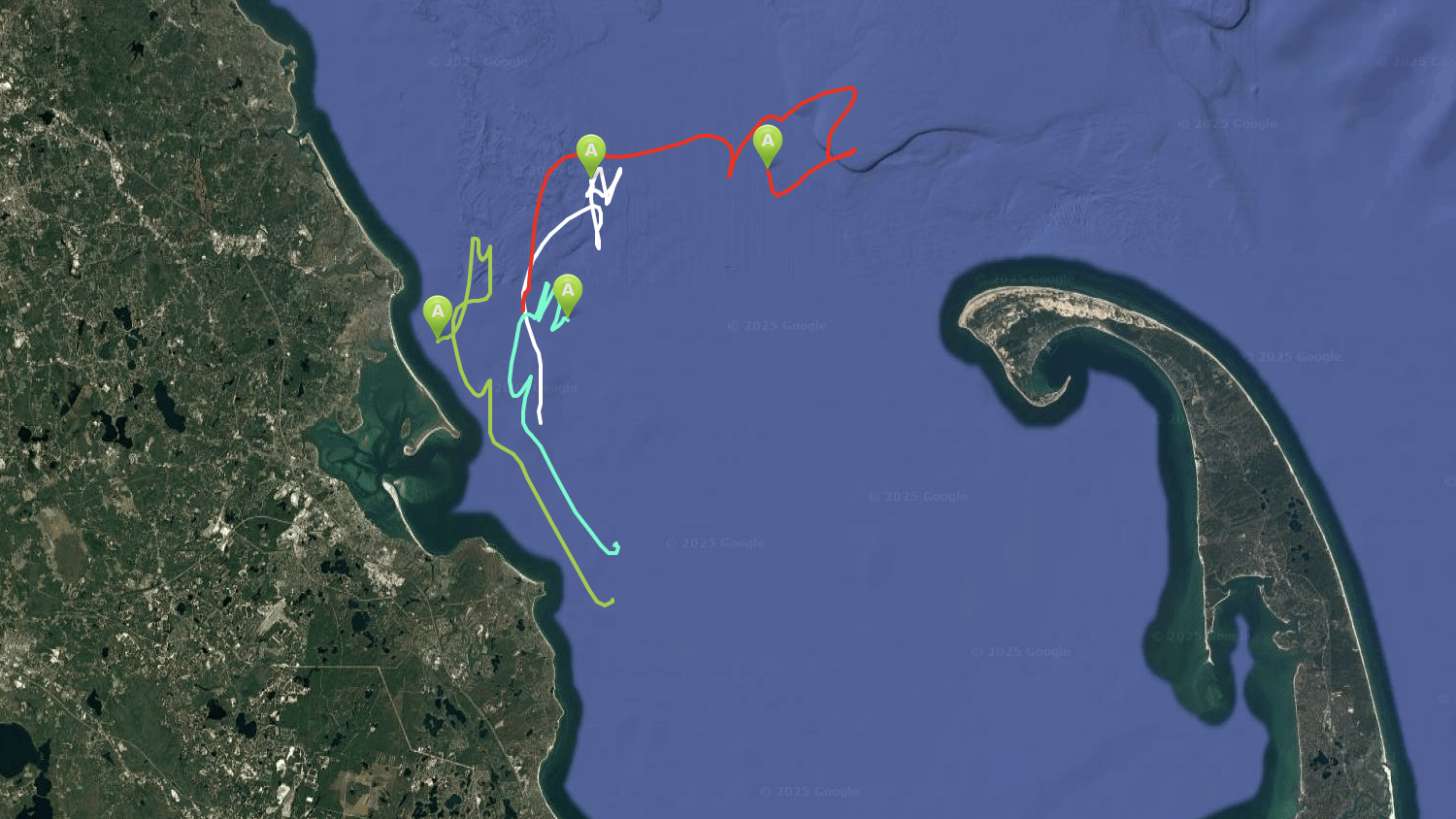 Click to track our drifters as they make their way in and around Cape Cod Bay.