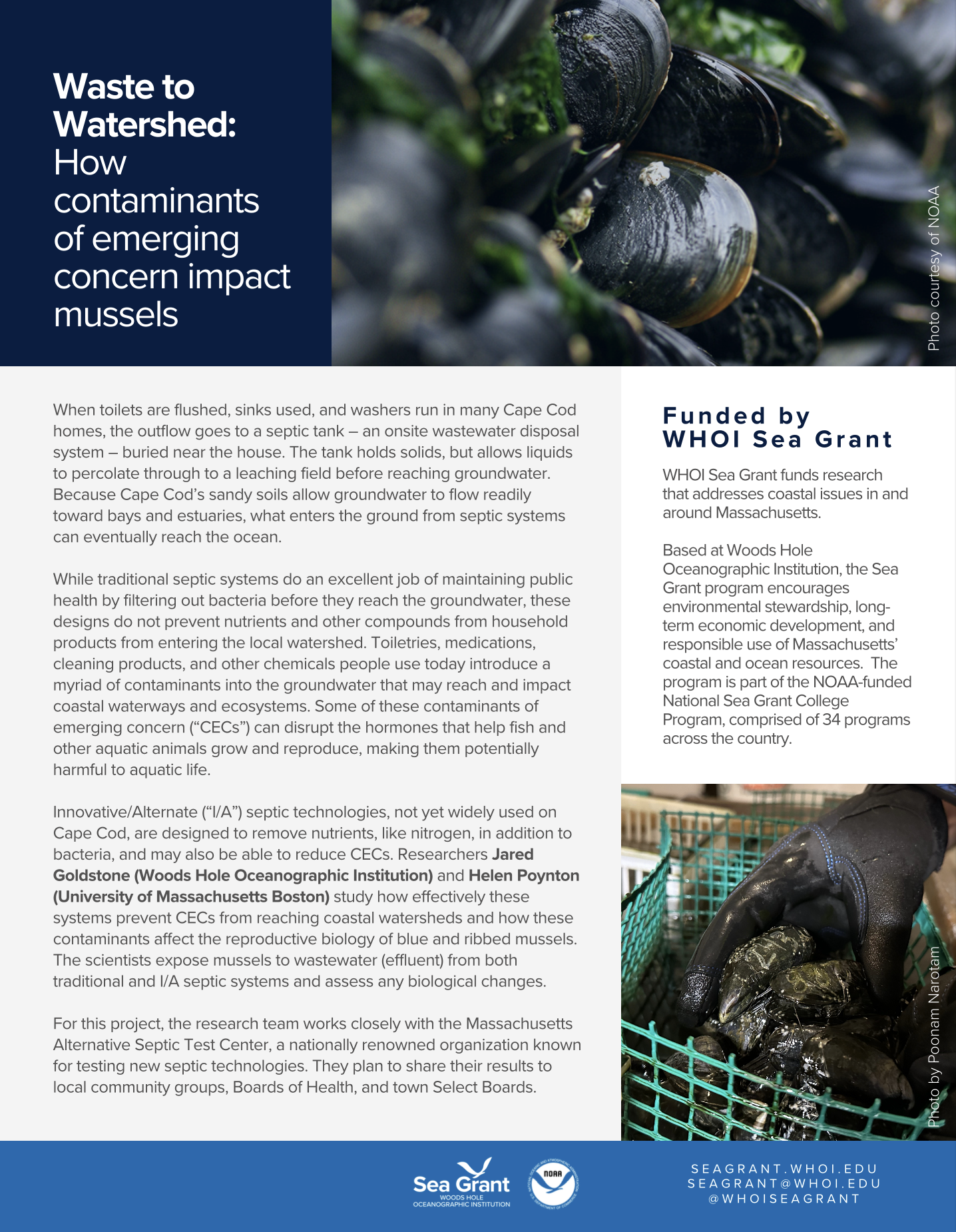 goldstone-one-pager-screenshot