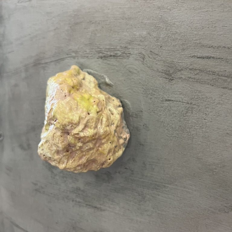 crumb-of-bread-sponge