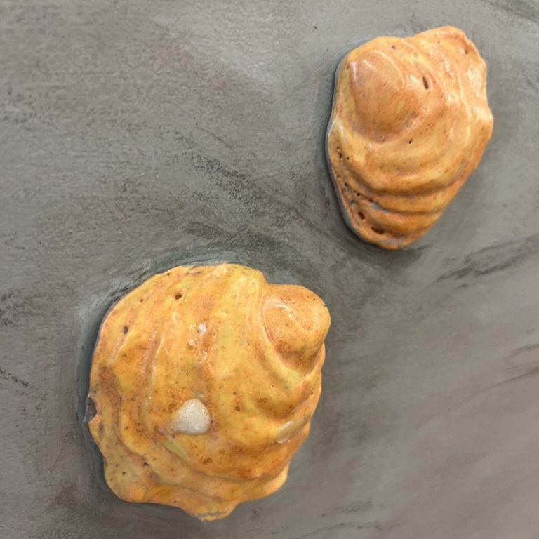 jingle-shells
